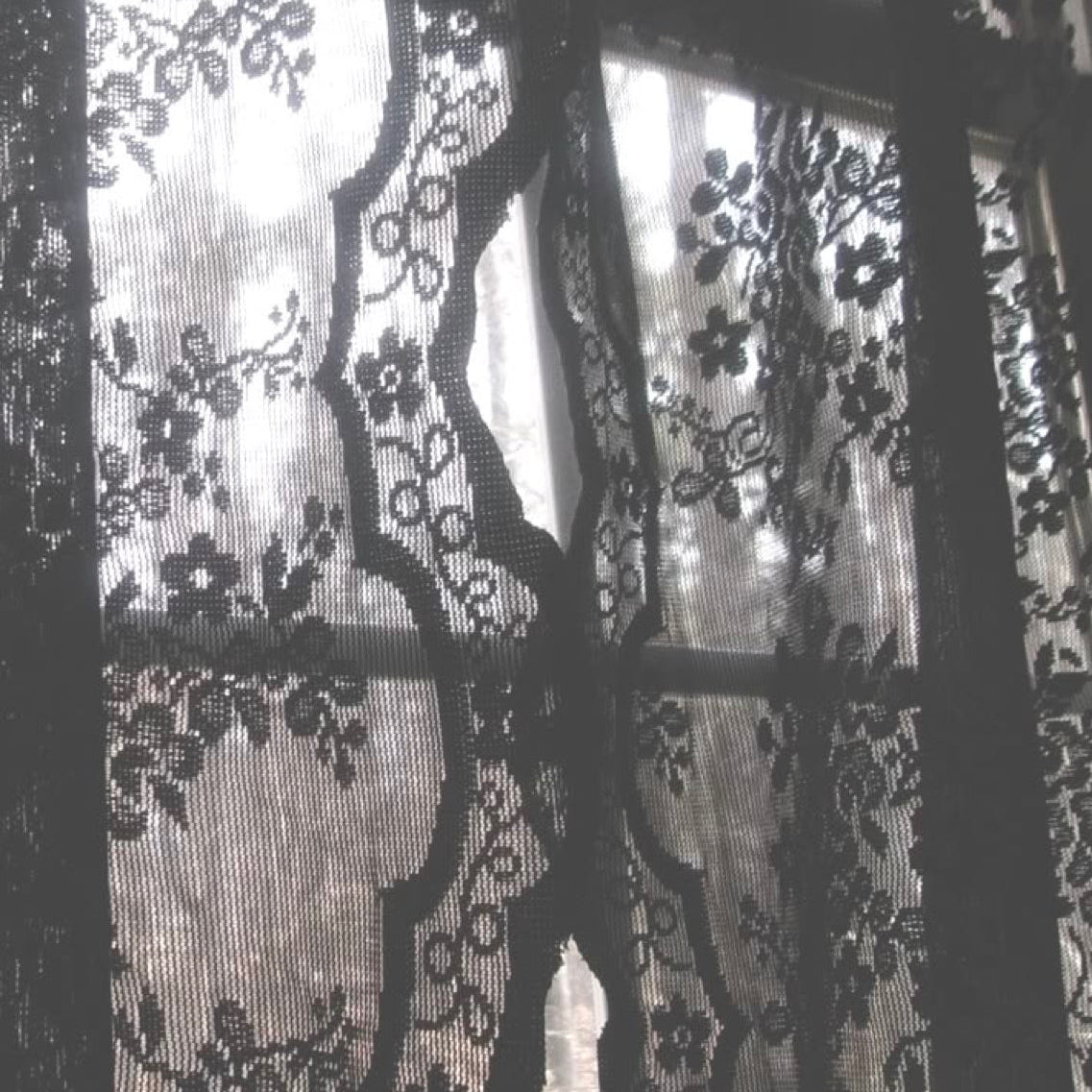 Lacy-Lacey Noire/Vincent Delacroix